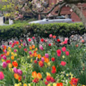 Meet your Posher, Jacky